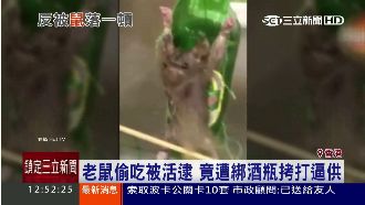 男子「綁鼠逼供」還自拍　網友批殘忍