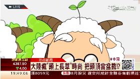 頭上長草夯1600