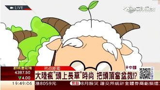 「頭上長草」髮夾爆紅　竟有＿涵意！