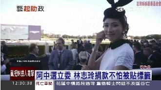 阿中選立委　林志玲捐款不怕被貼標籤
