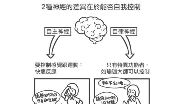 找到自律神經失調原因　才有可能治本