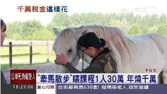 赴歐上「牽馬散步」課　官員年燒千萬