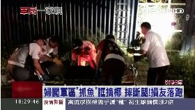 消痘摘椰摔1800