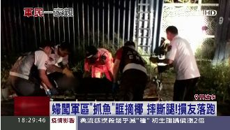 闖軍區摔斷腿　婦扯為兒摘椰子消痘痘