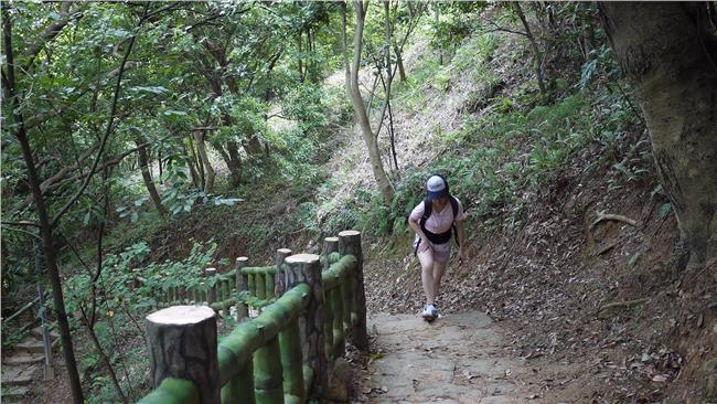 聽到「奇異指示」？男子登山摔落陡坡