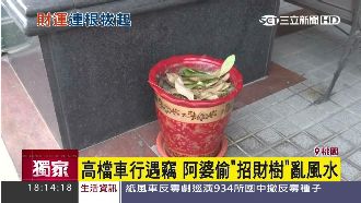 高檔車行遇竊！阿婆順手牽「招財樹」