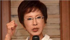 洪秀柱 圖/翻攝自洪秀柱臉書