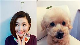 Selina　組圖／翻攝自任家萱 Selina臉書