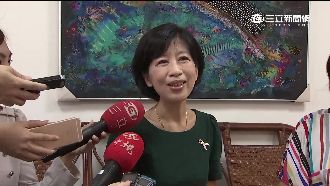 陳佩琪：比起人家告網友，柯進步很多