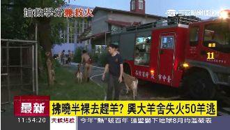 中興大學羊舍失火　學生早起去趕羊