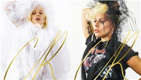 lady gaga／臉書