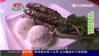 吃冰要搭生魚片　嗆辣冰淇淋顛覆味蕾