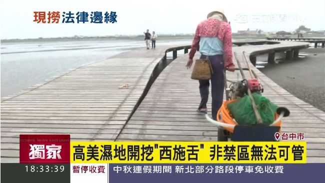 濕地抓西施！民眾DIY加管插入難管