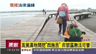 濕地抓西施！民眾DIY加管插入難管