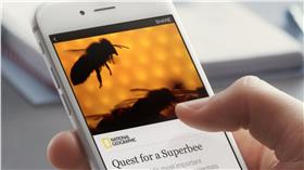 instant article HOME