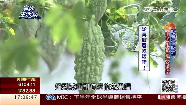 李登輝驚嘆！有機山苦瓜可抗癌