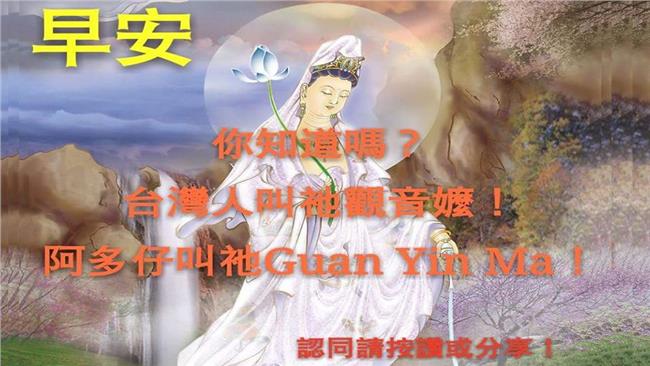 觀音嬤也道早～LINE長輩圖太OP