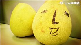 柚子示意圖/攝影 楊才蔚