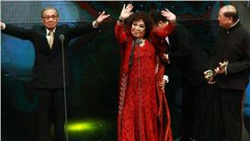 金鐘特別貢獻,中視