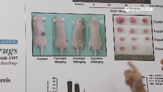 台製褐藻醣膠抑癌　獲國際文獻認可