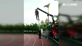 英勇消防員變嫦娥？吊掛半空摘蜂窩