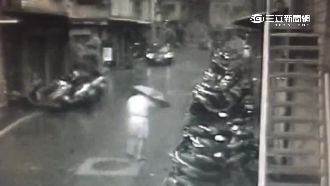 杜鵑奪一命！8旬老翁遭強風吹倒不治