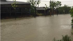 杜鵑,划船,淹水,颱風假,賴清德▲圖／翻攝自杜鵑颱風風災回報   16:9