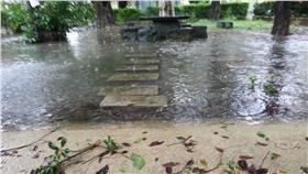 杜鵑颱風、淹水(▲圖／翻攝自杜鵑颱風風災回報)