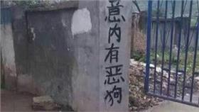 內有惡犬、狗狗(巨有趣網站)