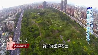 樹怎麼都長不大？揭密大安森林公園
