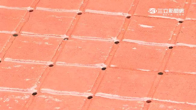 「海綿道路」全球搶　台礙利益難推行