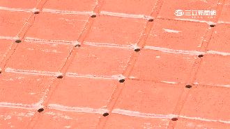 「海綿道路」全球搶　台礙利益難推行