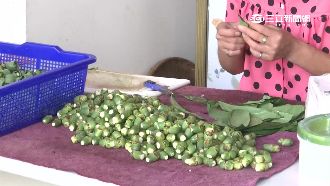 疑誤食「倒吊子」男子臉發黑倒地身亡