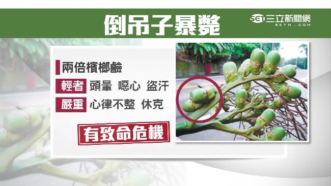 翁吃「倒吊子」斃命！逆長的檳榔炸彈