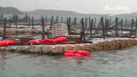 海洋牧場翻2400..