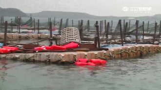 杜鵑肆虐！澎湖海洋牧場船翻宛如廢墟