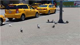 計程車／https://www.flickr.com/photos/92585929@N06/18932708782/in/photolist-9tineF-iuPMAg-iuPKuc-iuPPoJ-iuPEu2-4C5TW1-ySLVC-nderfZ-eVFCK8-3zEEB-s5XxZL-c2HUth-aG7L6T-66JNJ-aNfABe-8mNJbE-62CyXD-62CxhK-5Vw7XK-5gVoER-fEXZCY-6VULeK-uR25Hu-uz35ze-8xR7Fd-38Ekxv-8kehFF-qxCeGG-xZXj4m-4fJrfs-7mxJbj-a8RLev-dpaorW-6HTTBK-orDicm-cMNbcm-eJ4DLK-o3atTW-k85r3t