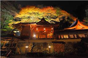 京都賞楓