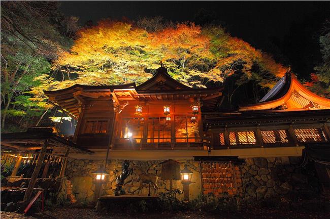 讓人忘了呼吸，京都5大神秘賞楓地