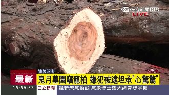 鬼月墓園盜砍龍柏　嫌犯坦承心驚驚