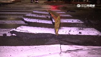 以為雷擊！暴雨排水不及路面裂3公尺