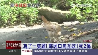 為了一隻雞記恨多年　鄰居口角互砍