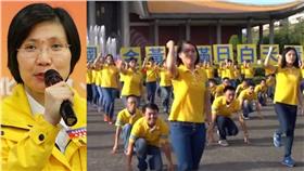 民國黨,徐欣瑩,黨歌（合成圖／翻攝自民國黨臉書）