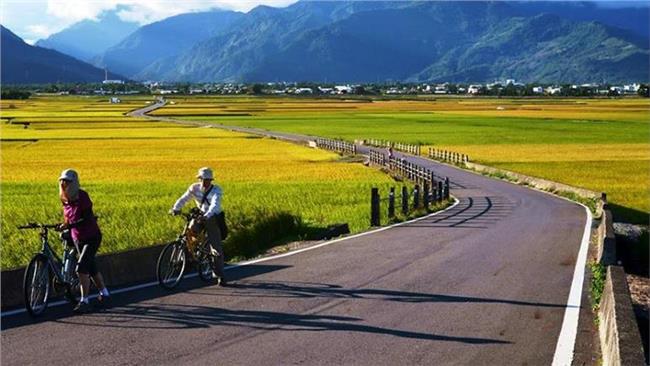 自行車道網路票選　伯朗大道跌出十大
