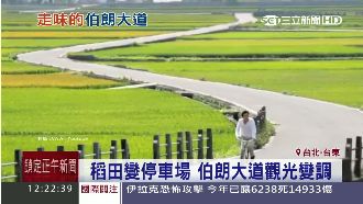 稻田變成停車場　伯朗大道美景變調