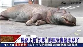 阿河(資料照) 16:9