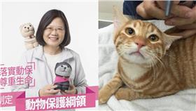 蔡英文、毛小孩（圖／翻攝自蔡英文臉書）