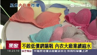 低價網購內衣正夯　知名大廠業績慘跌