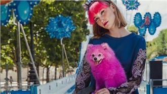 女模將愛犬染成粉紅毛球　慘遭砲轟