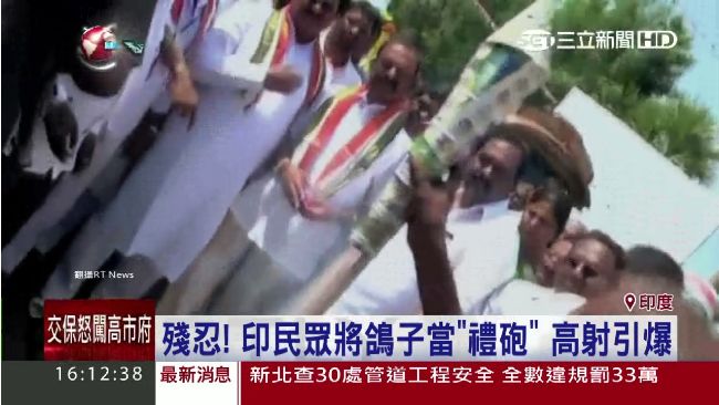 為迎國會領袖　印民竟將鴿子當禮炮射